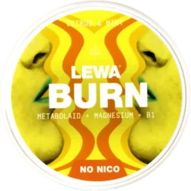 LEWA Burn Citrus & Mint
