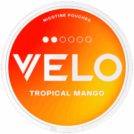 VELO Tropical Mango