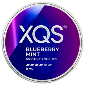 XQS Blueberry Mint Strong