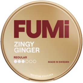FUMi Zingy Ginger Regular