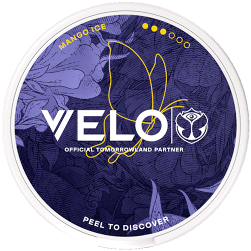 VELO Tomorrowland Mango Ice Limited Edition 2026