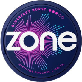 ZONE No. 73 Blueberry Burst 10mg